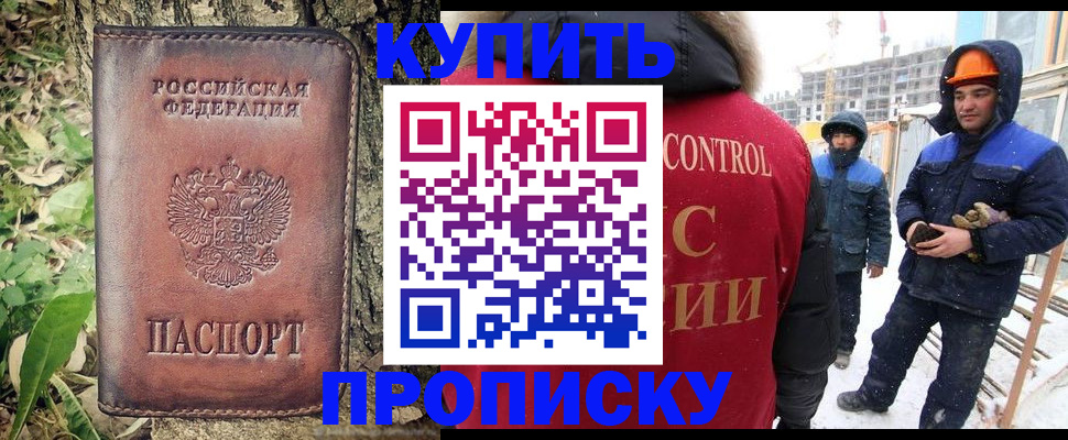где прописаться в Вышнем Волочке